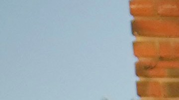 El estudio lo hizo la Universidad de California Los Ángeles (UCLA).