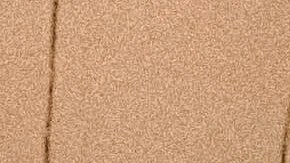 Shah destacó que lo más importante fue mantenerse con vida