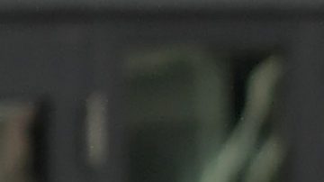 Estados Unidos superó sin atenuantes a Venezuela en amistoso en Florida