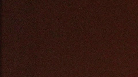 Trump y Melania se reunirán con Joe Biden y Jill Biden antes de la investidura.