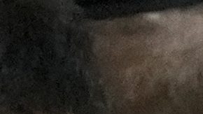 Jake y Logan Paul confirman inesperada pelea entre hermanos en marzo