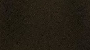 Alcaraz se burla de la lesión de Djokovic tras su derrota ante el serbio en el Abierto de Australia