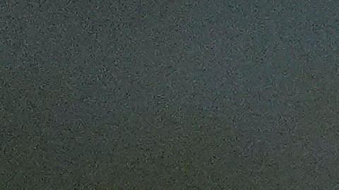 La decisión federal fue tomada por el juez John Coughenour.