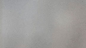 Donald Trump en California