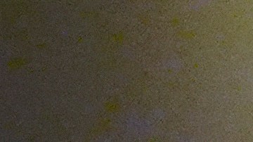 Falta la confirmación oficial de Washington.