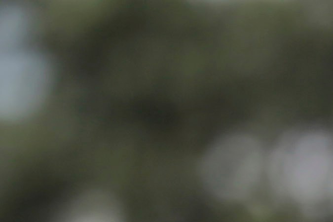 David Wright usó el dorsal "5" durante toda su carrera con los Mets.