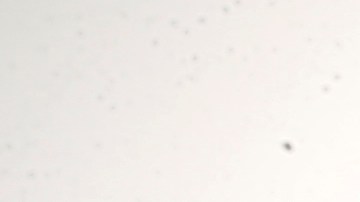 Joe Biden insistió en diciembre en que los drones avistados en Nueva Jersey no suponían peligro alguno para la población.