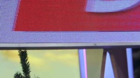 Adamari López, presentadora de televisión.