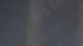 Adamari López, presentadora de televisión.