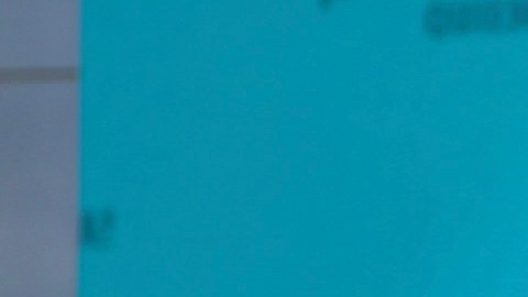 Adamari López y Chiquibaby.