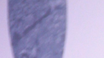 Adele vivió en esta casa durante seis meses, en el 2012.