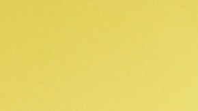 Alicia Machado, actriz venezolana.