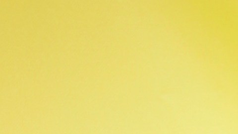 Alicia Machado, actriz venezolana.