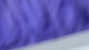 Amy Schumer ahora es dueña de varias propiedades en Estados Unidos.