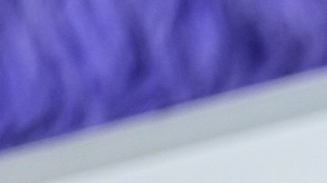 Amy Schumer ahora es dueña de varias propiedades en Estados Unidos.