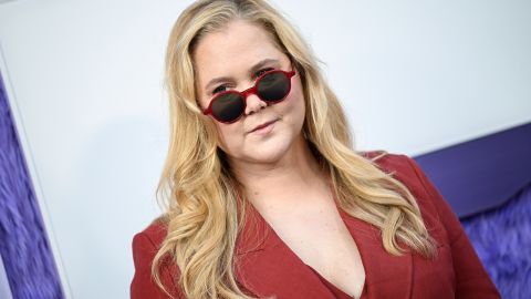 Amy Schumer ahora es dueña de varias propiedades en Estados Unidos.