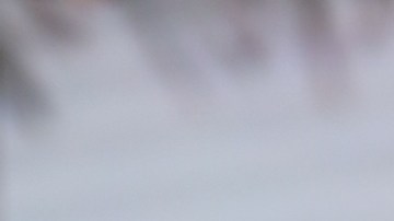 Ana Patricia Gámez, presentadora de televisión.