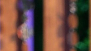 Andrea Meza, presentadora de televisión.