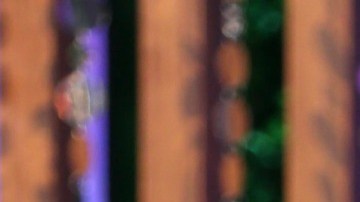 Andrea Meza, presentadora de televisión.