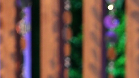 Andrea Meza, presentadora de televisión.