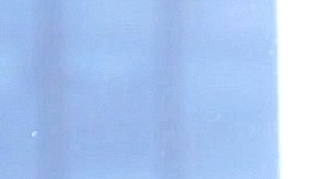 Ariadne Díaz y José Ron en una escena de la telenovela "Papás por Conveniencia" (TelevisaUnivision).