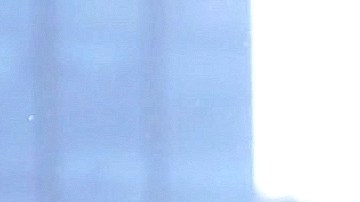 Ariadne Díaz y José Ron en una escena de la telenovela "Papás por Conveniencia" (TelevisaUnivision).