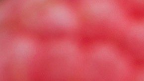 Los frutos rojos contienen melatonina y otros compuestos que ayudan a producirla.