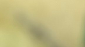 Aunque el producto no está disponible en las tiendas, la FDA estima que algunos consumidores pudieron congelarlo.