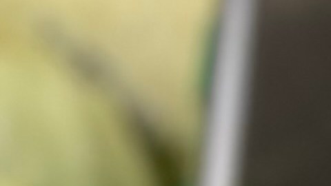 Aunque el producto no está disponible en las tiendas, la FDA estima que algunos consumidores pudieron congelarlo.