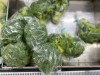 Aunque el producto no está disponible en las tiendas, la FDA estima que algunos consumidores pudieron congelarlo.