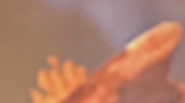 Carlos Adyan, presentador de televisión.