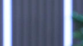 Carolina Sandoval, presentadora de televisión.