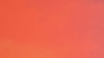 Carolina Sandoval no dejará de cuidar su casa mientras siga siendo de ella.