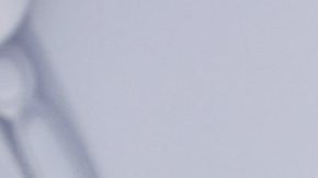 Carolina Sandoval se está preparando para iniciar una nueva vida como mujer divorciada.