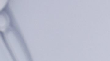 Carolina Sandoval se está preparando para iniciar una nueva vida como mujer divorciada.