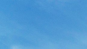 Visite el Central Park Ice Rink este invierno al 2X1.