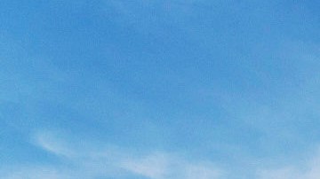 Visite el Central Park Ice Rink este invierno al 2X1.