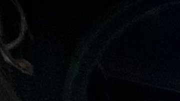 Vecinos de "la Roosevelt" piden que continúen planes para mejorar el área con más inversión y menos criminalización