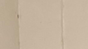 Las autoridades han estado capturando a cientos de migrantes que han realizado crímenes en las ciudades santuario en todo Estados Unidos.