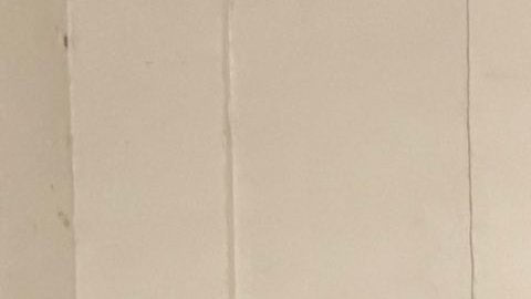 Las autoridades han estado capturando a cientos de migrantes que han realizado crímenes en las ciudades santuario en todo Estados Unidos.