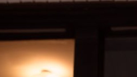 Concejal boricua de Missouri, Daniela Velázquez
