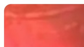 Cámaras de seguridad captaron a Danielle Bertothy incendiando negocios en Puerto Rico