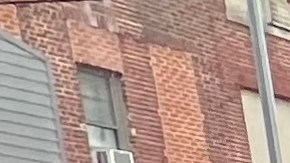 Comienza batalla contra intento de Trump de privar a hijos de indocumentados de la ciudadanía