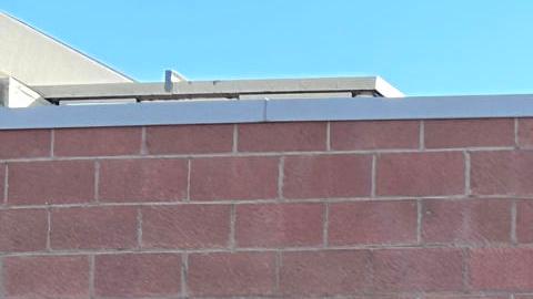 Casa Alitas fue uno de los albergues afectados por el recorte de fondos.