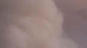 Pacific Palisade es una zona residencial en donde viven varias estrellas de Hollywood.