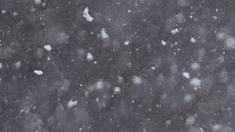 Nevadas