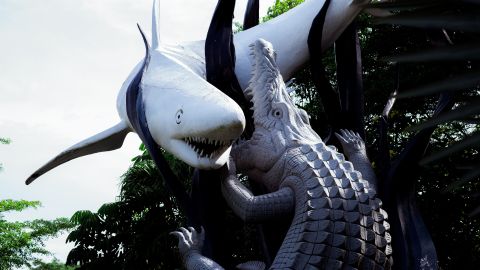 Cocodrilo tiburón