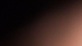 Los consumidores del producto reportaron a la empresa que el contenido de empaca no coincidía con la descripción.