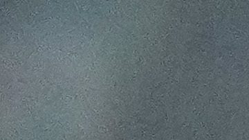 FC Barcelona campeón de la Supercopa de España.