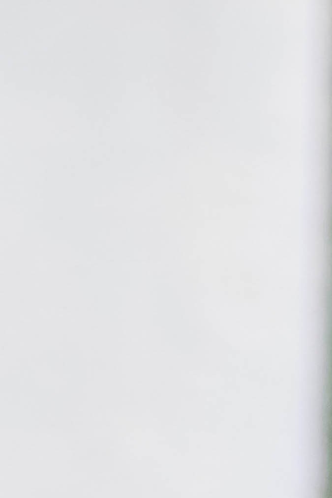 Fabián Castillo, durante el partido de la jornada 10 del torneo Apertura 2022 de la Liga BBVA MX, entre los Gallos Blancos del Querétaro y los Xolos de Tijuana, celebrado en el estadio La Corregidora. Foto: Imago7/ Víctor Pichardo.